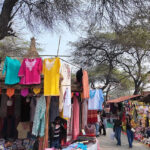 🌏 भारतीय सांस्कृतिक यात्रा: विविधता में एकता की अनोखी कहानी